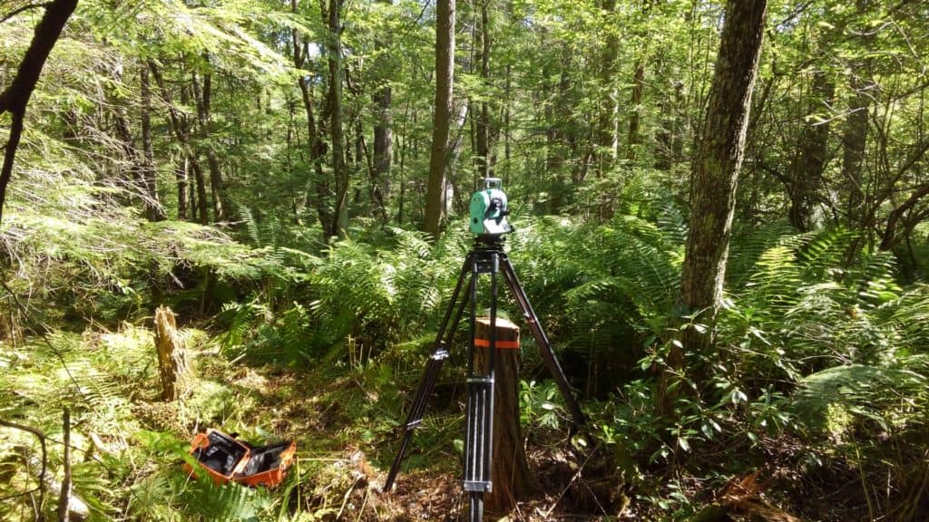 Surveying through a swamp in Bernardston. It was a very long, hot day!
