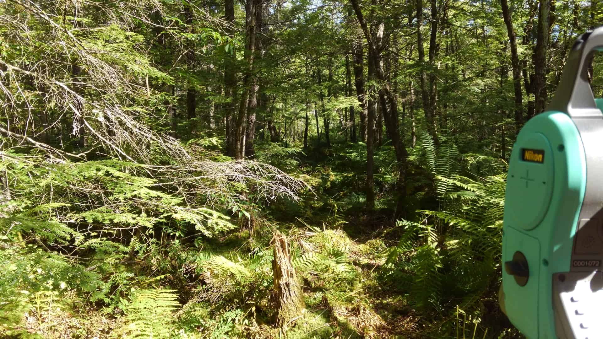 Surveying through a swamp in Bernardston. It was a very long, hot day!